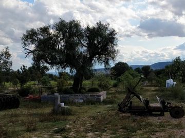 Rancho en Villa de Arriaga 8 ha, cuenta con casa con 2 recamaras con baño, cocina y comedor.