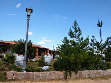 Rancho en Villa de Arriaga 8 ha, cuenta con casa con 2 recamaras con baño, cocina y comedor.