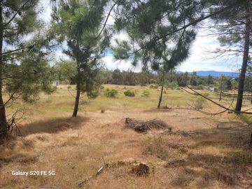 Parcela Las Rosas, Cauquenes