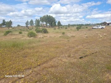 Parcela Las Rosas, Cauquenes