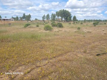 Parcela Las Rosas, Cauquenes