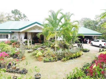 Resale Stunning 4 Bedrooms Bungalow House in Countryside Near Sirao Garden Busay