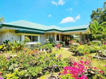 Resale Stunning 4 Bedrooms Bungalow House in Countryside Near Sirao Garden Busay