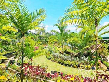 Resale Stunning 4 Bedrooms Bungalow House in Countryside Near Sirao Garden Busay