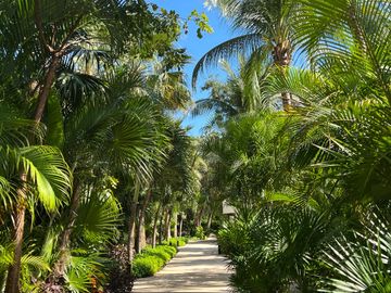 For Sale: One Bedroom Apartment Lorena Ochoa Residences Riviera Maya