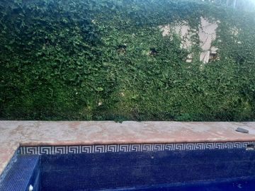 CASA HABITACION AMUEBLADA EN VENTA EN CADEREYTA JIMENEZ, NUEVO LEON, ZONA COL. NUEVA MADERO, CONSTRUCCION Y DISEÑO ARQUITECTONICO, ESTILO RUSTICO