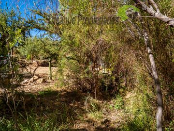 Terreno de 6.000 m2 con linda casa , cabaña y orilla de río, Cochiguaz, Valle del Elqui. $220 millones