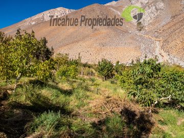 Terreno de 6.000 m2 con linda casa , cabaña y orilla de río, Cochiguaz, Valle del Elqui. $220 millones