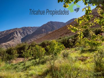 Terreno de 6.000 m2 con linda casa , cabaña y orilla de río, Cochiguaz, Valle del Elqui. $220 millones