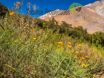 Terreno de 6.000 m2 con linda casa , cabaña y orilla de río, Cochiguaz, Valle del Elqui. $220 millones