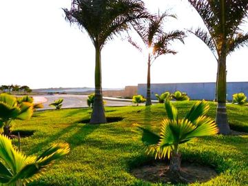 Venta De Terreno En Exclusivo Flamencos Condominio Resort