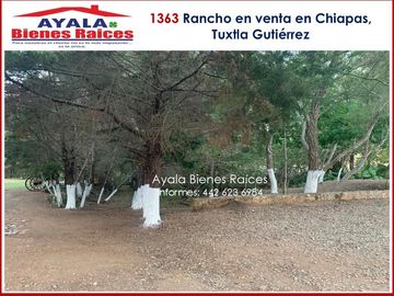 RANCHO EN VENTA EN CHIAPAS. NO DEJES IR ESTA OPORTUNIDAD!! $42,000,000