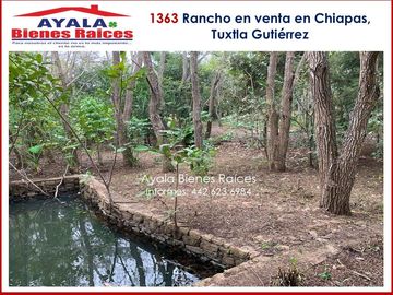 RANCHO EN VENTA EN CHIAPAS. NO DEJES IR ESTA OPORTUNIDAD!! $42,000,000