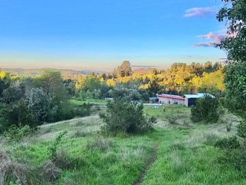Hermosa Parcela de 5000 m2 en Chancoyán, Valdivia