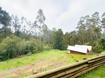 Lindas casas en Avenida Los Morros camino a Altos de Coliumo