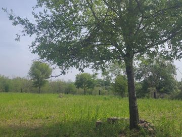 Terreno Montemorelos