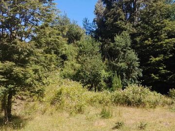 PARCELA DE 1 HECTÁREA EN SECTOR CASA BLANCA VALDIVIA