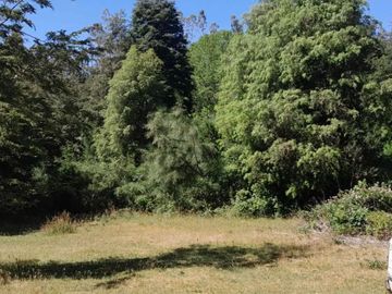 PARCELA DE 1 HECTÁREA EN SECTOR CASA BLANCA VALDIVIA