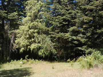 PARCELA DE 1 HECTÁREA EN SECTOR CASA BLANCA VALDIVIA