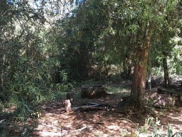 PARCELA DE 1 HECTÁREA EN SECTOR CASA BLANCA VALDIVIA