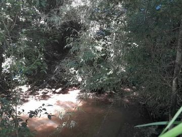 PARCELA DE 1 HECTÁREA EN SECTOR CASA BLANCA VALDIVIA