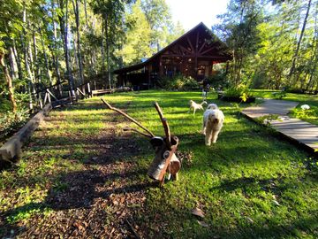 Hermosa Parcela con 4 cabañas, Caburgua, Pucon