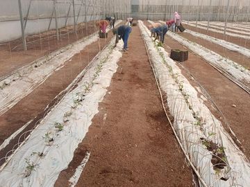 RANCHO 8.5 HECTAREAS AGRICOLAS CARRETERA DOLORES-SAN LUIS DE LA PAZ CON POZO, CONCESION DE AGUA