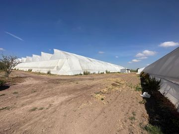 RANCHO 8.5 HECTAREAS AGRICOLAS CARRETERA DOLORES-SAN LUIS DE LA PAZ CON POZO, CONCESION DE AGUA