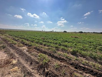 RANCHO 8.5 HECTAREAS AGRICOLAS CARRETERA DOLORES-SAN LUIS DE LA PAZ CON POZO, CONCESION DE AGUA