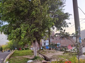 🎯🎯 VENTA DE TERRENO EN LURIGANCHO CHOSICA - URB. LAS TERRAZAS DE CARAPONGO🌞🌞🌳🌳