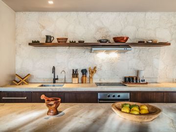 Luxury Exclusive Penthouse in Luum Zama