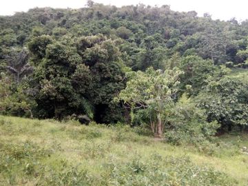 FOR SALE - Lot in Alaminos, Laguna