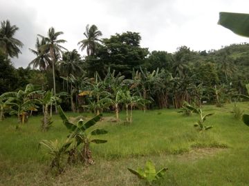FOR SALE - Lot in Alaminos, Laguna
