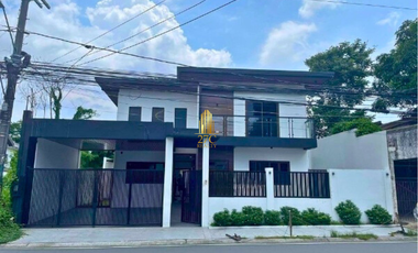 For Sale: Brand New, Single-Detached House in BF Homes, Las Piñas
