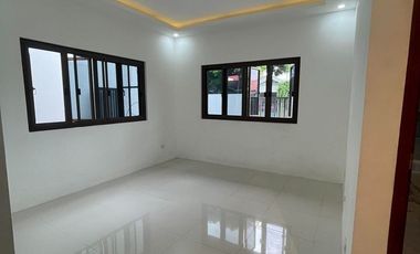 For Sale: Brand New, Single-Detached House in BF Homes, Las Piñas