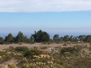 Venta terrreno parcela sector Algarrobo el Yeco