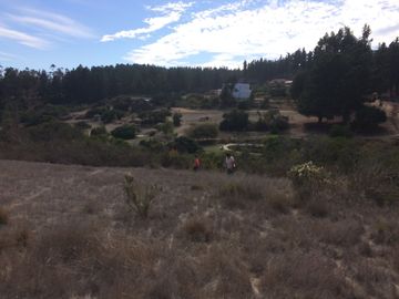 Venta terrreno parcela sector Algarrobo el Yeco