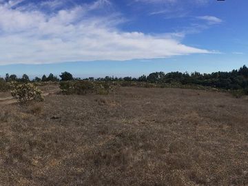 Venta terrreno parcela sector Algarrobo el Yeco