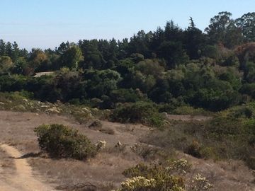 Venta terrreno parcela sector Algarrobo el Yeco