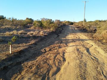 Venta terrreno parcela sector Algarrobo el Yeco
