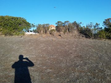 Venta terrreno parcela sector Algarrobo el Yeco