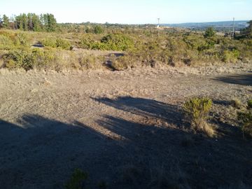 Venta terrreno parcela sector Algarrobo el Yeco