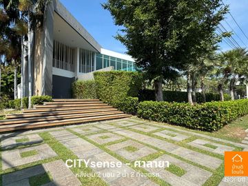 Special discount, Townhome City Sense Salaya (25.9 sq m.), 2 bedrooms, 2 bathrooms, corner house, near Mahidol University