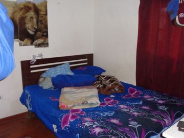 Venta de amplia Casa 2 Pisos + Local Comercial, El Bosque