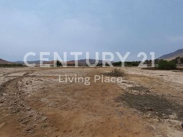 Vendo Terreno Plano Ideal Para Proyecto Inmobiliario, Condominio en Pucusana