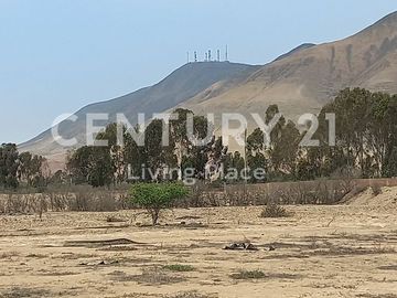 Vendo Terreno Plano Ideal Para Proyecto Inmobiliario, Condominio en Pucusana
