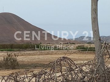 Vendo Terreno Plano Ideal Para Proyecto Inmobiliario, Condominio en Pucusana