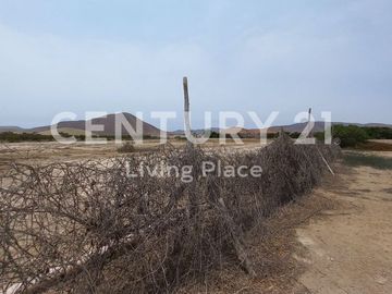 Vendo Terreno Plano Ideal Para Proyecto Inmobiliario, Condominio en Pucusana