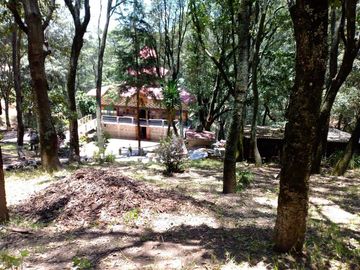 TERRENO EN LLANO DE ZACAPEXCO, VILLA DEL CARBÓN
