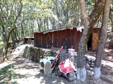 TERRENO EN LLANO DE ZACAPEXCO, VILLA DEL CARBÓN